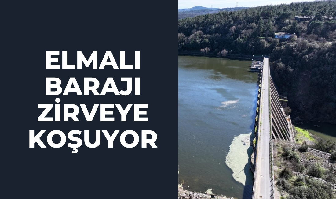 İstanbul genelinde baraj doluluk oranları