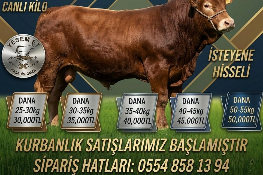 Beykoz'da kurban fiyatları yüzde 30 arttı 3 kurban5