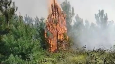 Beykoz Kılıçlı Mahallesi’nde ormanlık alanda 16.30 sularında çıkan yangın söndürüldü.