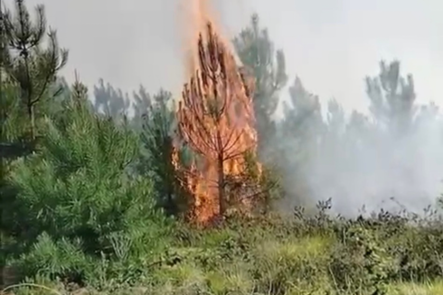 Beykoz Kılıçlı Mahallesi’nde ormanlık alanda 16.30 sularında çıkan yangın söndürüldü.