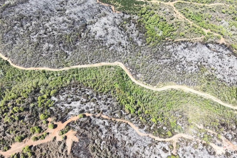 Beykoz’da ekiplerin uzun süren çabaları sonucunda kontrol altına alınan 14