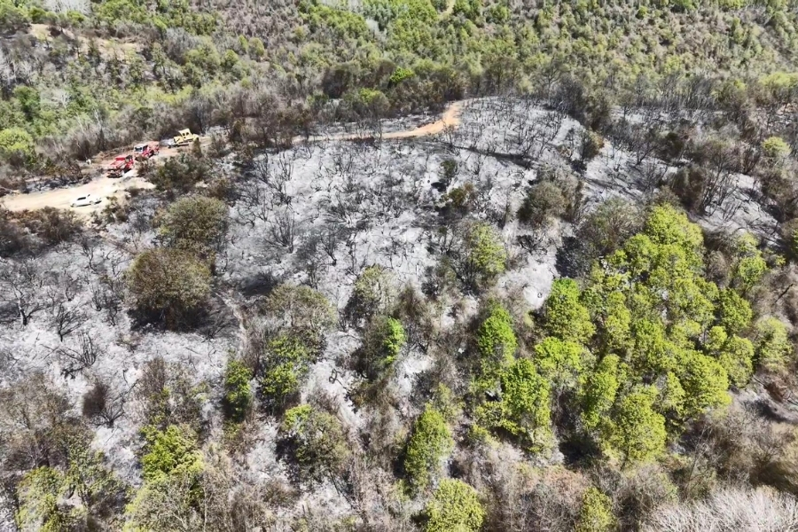 Beykoz’da ekiplerin uzun süren çabaları sonucunda kontrol altına alınan 14 hektarlık alanın son hali dron ile görüntülendi.