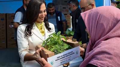 Beykoz Belediyesi, Cumhuriyetköy’deki Fide Üretim Merkezi’nde yetiştirilen yazlık sebze fidelerini
