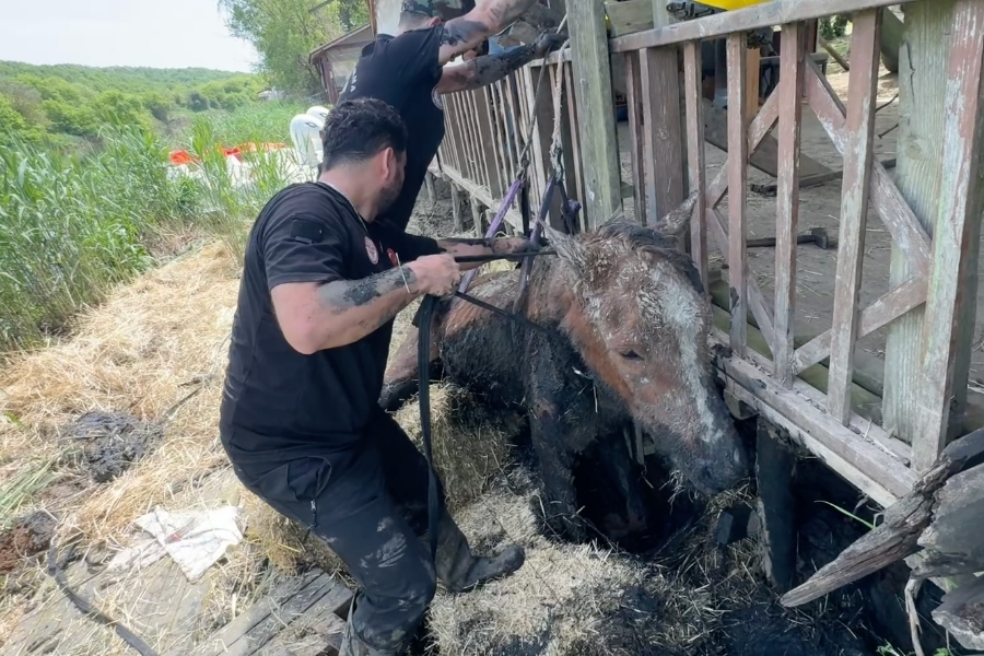 Beykoz’un huzurlu köylerinden Paşamandıra, nefes kesen bir kurtarma operasyonuna sahne