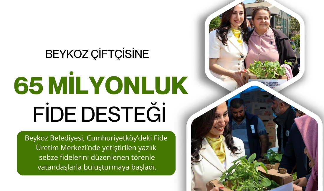 Beykoz Belediyesi, Cumhuriyetköy’deki Fide Üretim