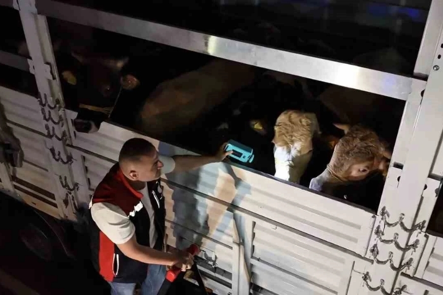 Kurban Bayramı yaklaşırken, Anadolu'nun dört bir yanından İstanbul ve Trakya'ya