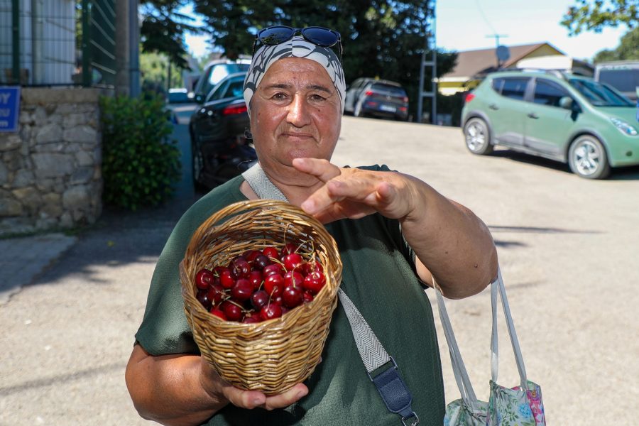 beykozda-polonezkoy-kiraz-festivali-sonuk-gecti