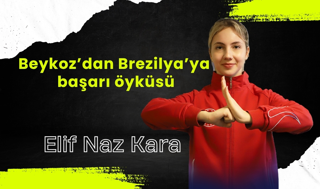 Beykoz Üniversitesi'nin İngilizce Havacılık Yönetimi