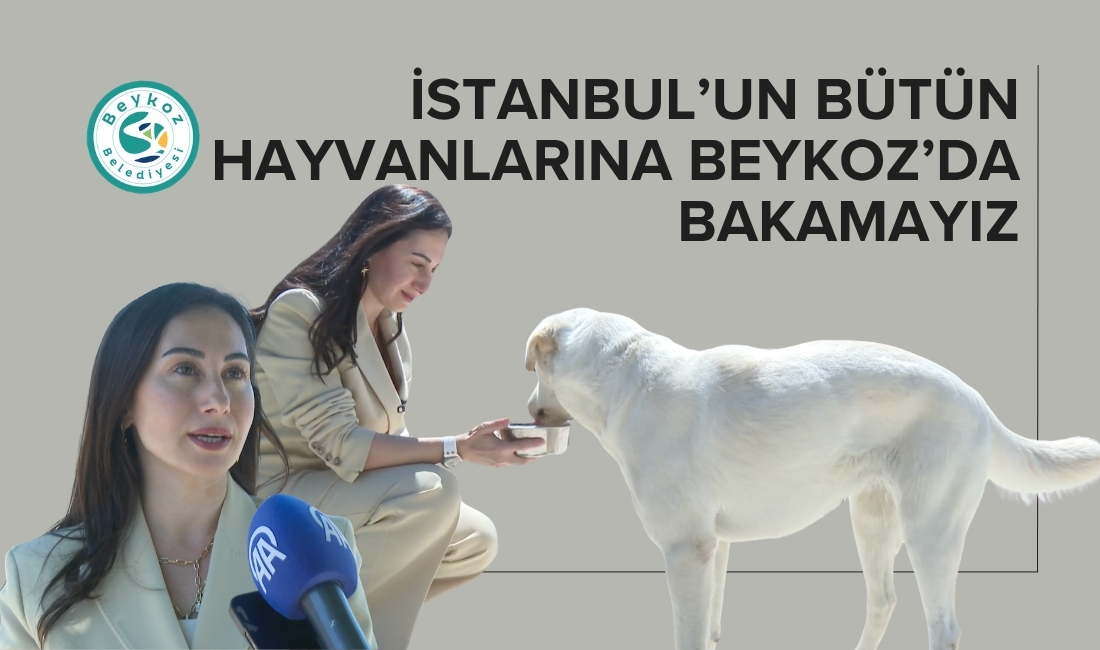 Beykoz Belediye Başkan Vekili Özlem