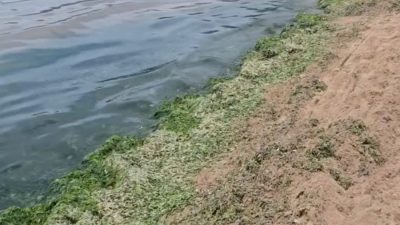 İstanbul'un Karadeniz kıyısındaki popüler rotalarından Beykoz Riva Halk Plajı, yaz