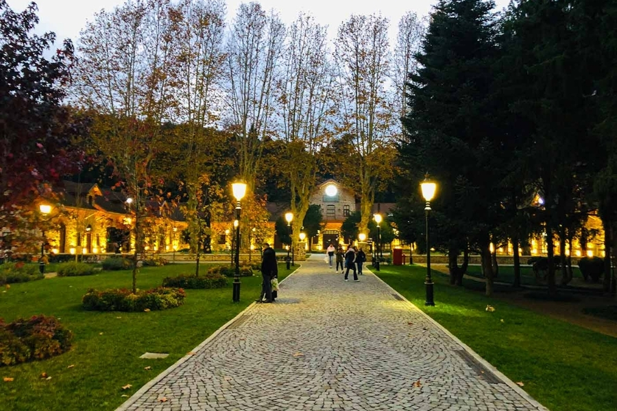 saray2