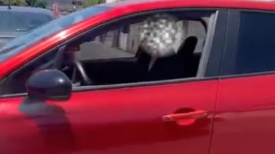 Beykoz'da ters yönden gelen kadın sürücü ile erkek sürücü arasındaki