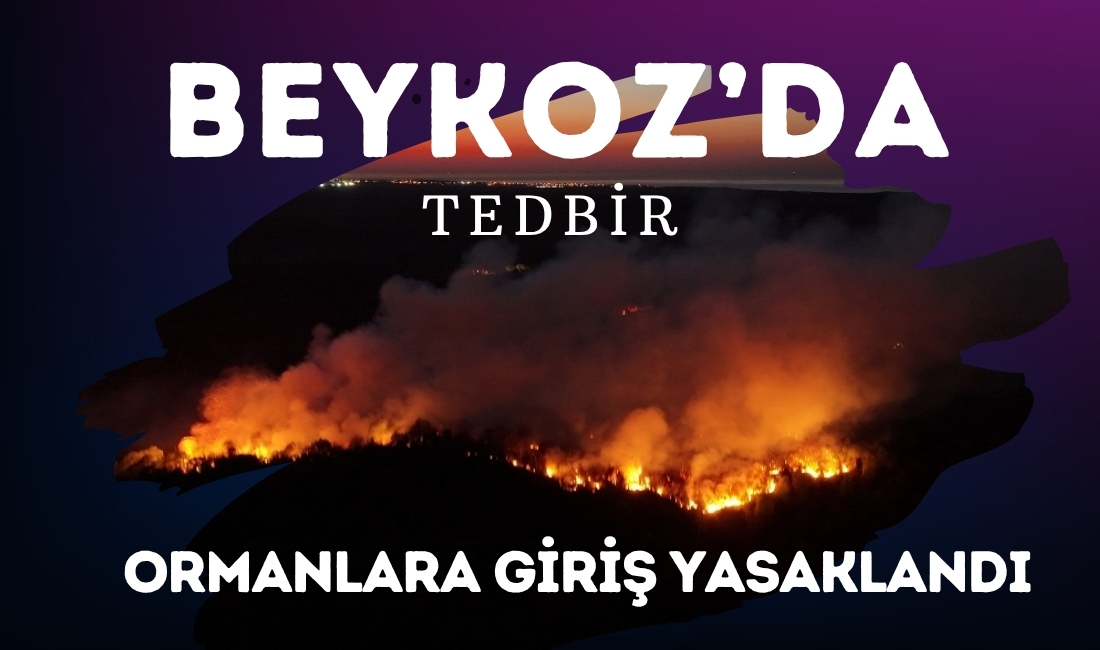 Orman yangını tedbir kararları açıklandı.