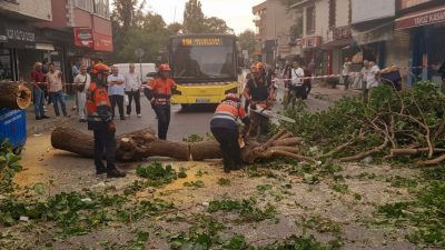 İstanbul'da günlerdir beklenen rüzgarlı ve sağanak yağışlı hava dalgası, Beykoz'da